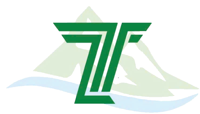 logo-truong-thinh